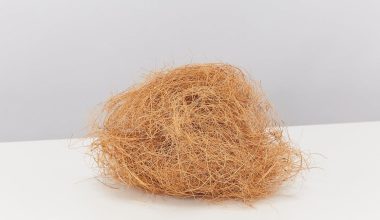 Coconut Coir Fiber for Bird Nesting & Home Decor