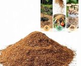 Sawdust  for Organic Gardening