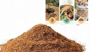 Sawdust  for Organic Gardening